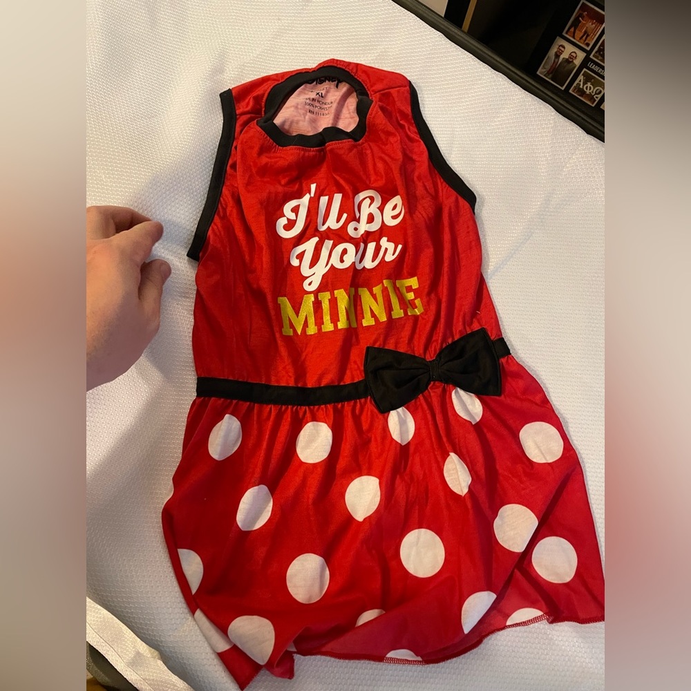 I’ll be your Minnie - Doggy shirt